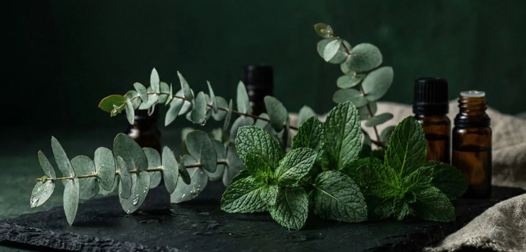 Fresh peppermint and eucalyptus leaves beside amber bottles
